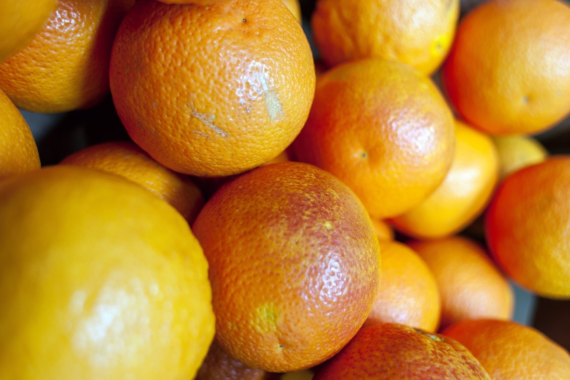 Reg. 8 – Citrus und Südfrüchte - Destillerie Kohler - Aromenbibliothéque